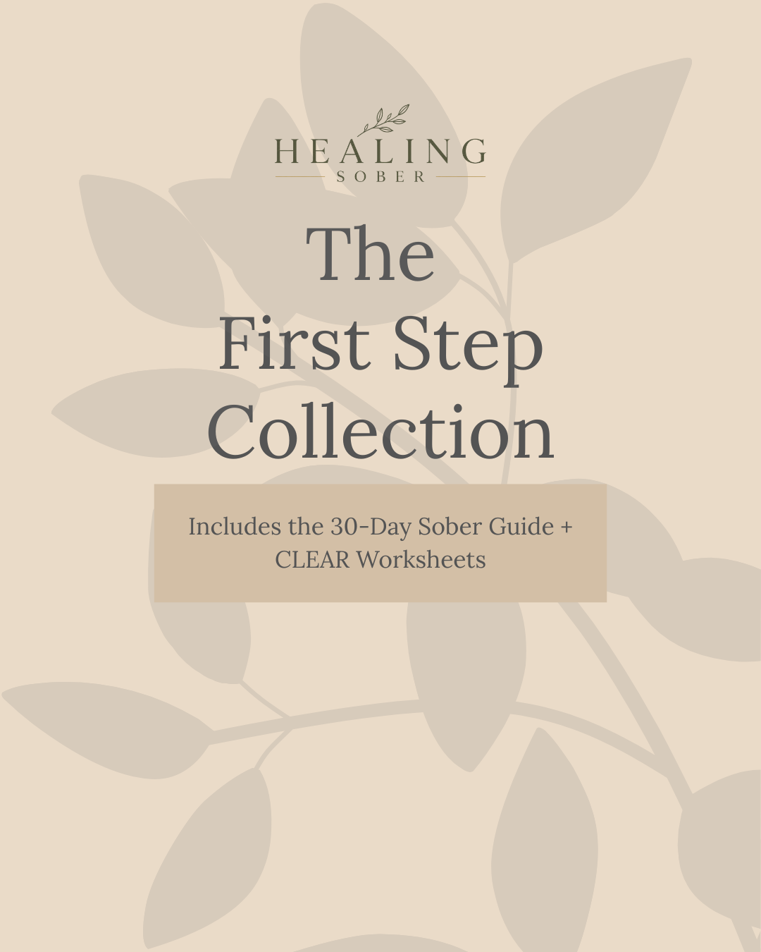 The First Step Collection